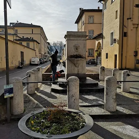 Domus Apartamento